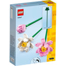 40647 Lotus Flowers