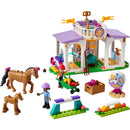41746 Horse Training