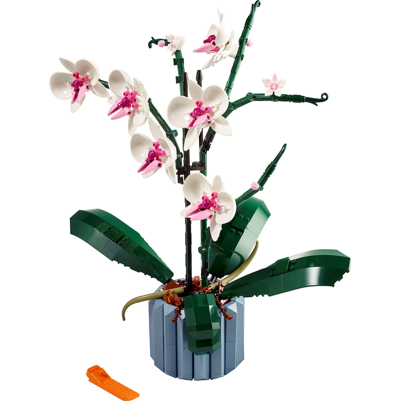 10311 Orchid
