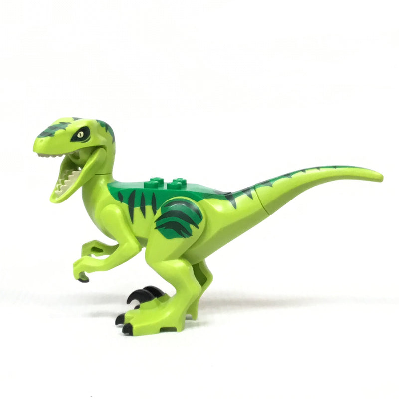 Raptor08 Lime Dinosaur Raptor / Velociraptor with Green Back