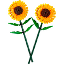 40524 Sunflowers