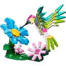 31384 Colourful Hummingbird
