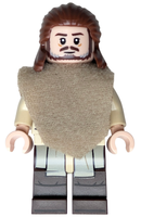 SW1334B Qui-Gon Jinn - Dark Brown Legs, Poncho, Dark Brown Beard