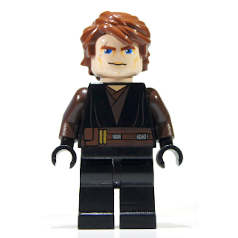 SW0317 Anakin Skywalker - Large Eyes, Dark Brown Arms