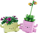 11506 Rocking Plants