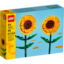 40524 Sunflowers