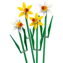 40747 Daffodils