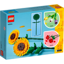 40524 Sunflowers