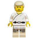 SW0021 - Luke Skywalker (Tatooine)
