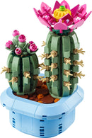 11509 Flowering Cactus
