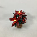 10370 Poinsettia (Pre-Owned)