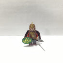 Theoden- Custom Big Kid Brix Thedon