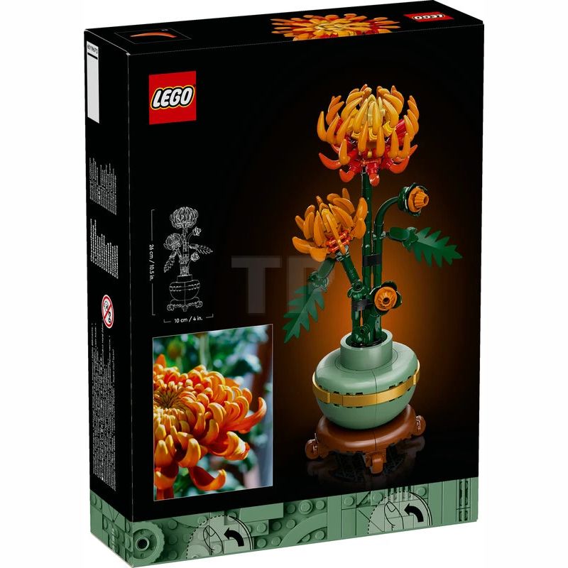 10368 Chrysanthemum