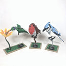 21301 Birds (Pre-Owned)