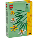 40747 Daffodils