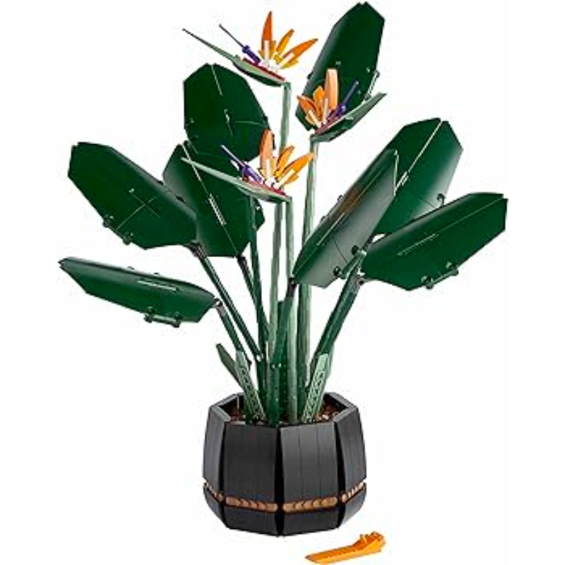 10289 Bird of Paradise (Pre-Owned)