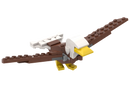 July 2026 M&T- Bald Eagle