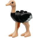 24689pb01c01 Ostrich with Light Nougat Legs and Head, White Tail and Wingtips Pattern