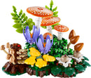 11505 Woodland Mushrooms