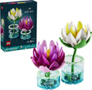 11511 Water Lilies