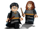 76393 Harry Potter & Hermione Granger