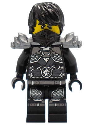 NJO273 Cole - Rebooted, Stone Armor