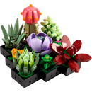 10309 Succulents (Pre-Owned)