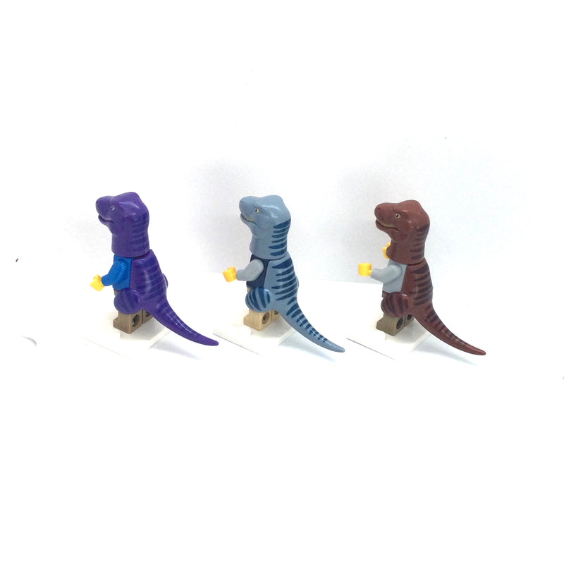 Crazy Bricks Tyrannosaurus Rex Costume (Assorted Colors)