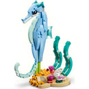 31385 Beautiful Dolphins