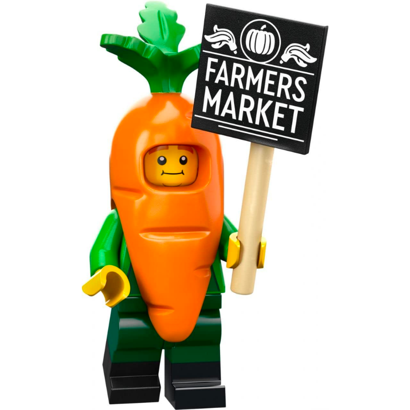 COL24-4 Carrot Mascot