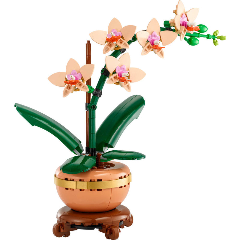 10343 Mini Orchid