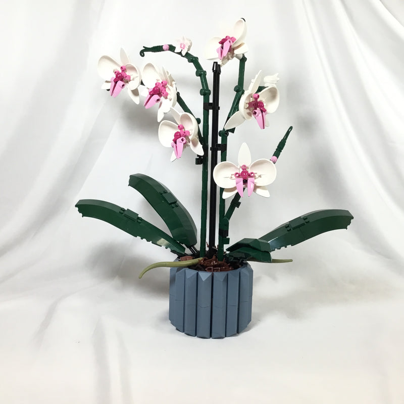 10311 Orchid (Pre-Owned)
