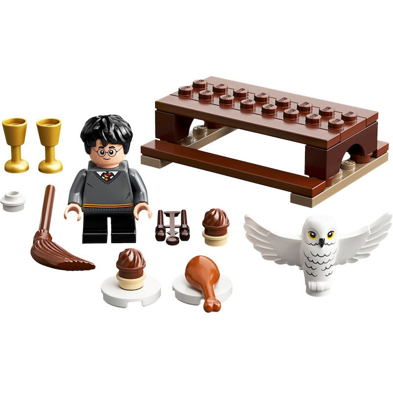 30420 Harry Potter and Hedwig Owl Delivery