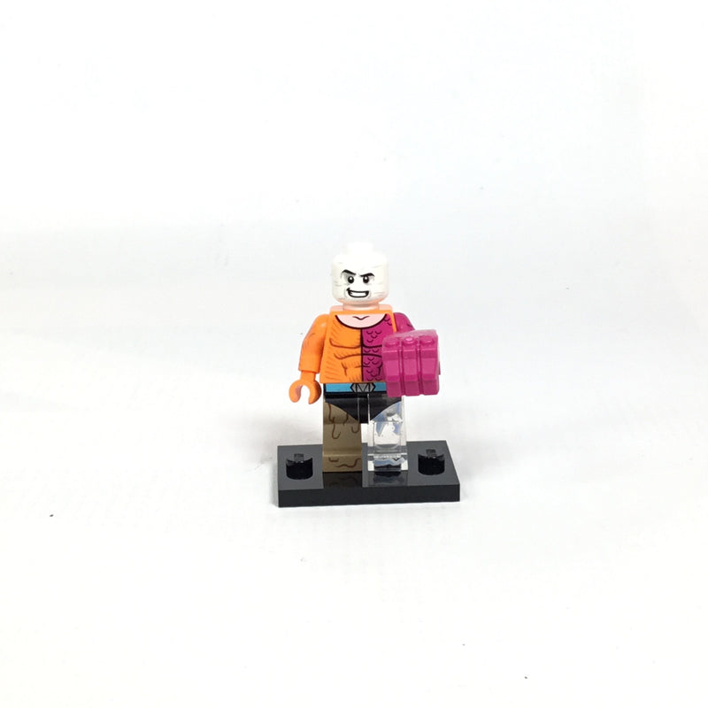 COLSH-12 Metamorpho, DC Super Heroes